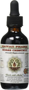 Horse Chestnut Alcohol-Free Liquid Extract, Organic Horse Chestnut (Aesculus hippocastanum) Dried Nuts Glycerite 2 oz...
